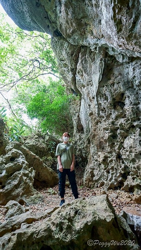 【屏東|社頂】20201018 "東方足跡"-南岬行腳:墾丁 DSC08998