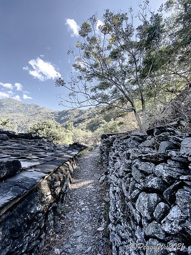 【屏東|春日】20210103暗黑部落▸▸▸"東方足跡"-老 IMG_2494