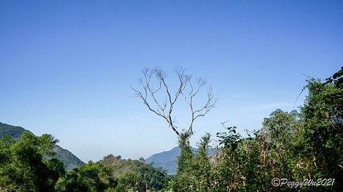 【屏東|春日】20210103暗黑部落▸▸▸"東方足跡"-老 DSC09874