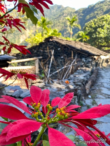 【屏東|春日】20210103暗黑部落▸▸▸"東方足跡"-老 IMG_2496