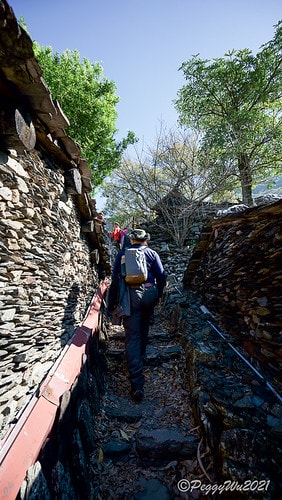 【屏東|春日】20210103暗黑部落▸▸▸"東方足跡"-老 DSC09919