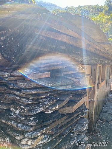 【屏東|春日】20210103暗黑部落▸▸▸"東方足跡"-老 IMG_2463