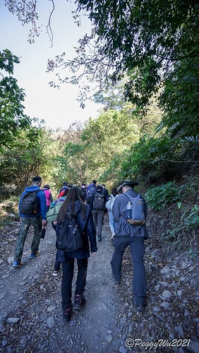 【屏東|春日】20210103暗黑部落▸▸▸"東方足跡"-老 DSC09889