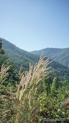 【屏東|春日】20210103暗黑部落▸▸▸"東方足跡"-老 DSC09877