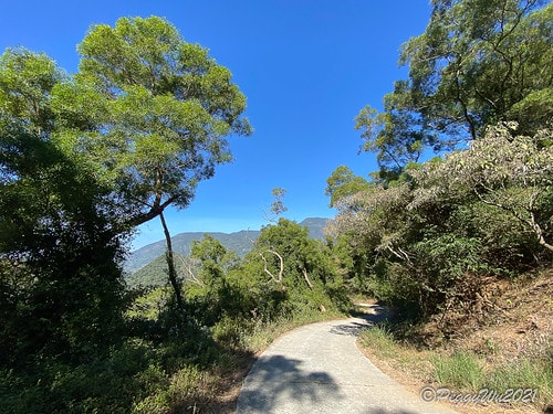 【屏東|春日】20210103暗黑部落▸▸▸"東方足跡"-老 IMG_2421