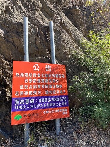 【屏東|春日】20210103暗黑部落▸▸▸"東方足跡"-老 IMG_2418