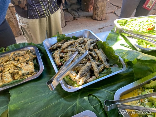 【屏東|春日】20210103暗黑部落▸▸▸"東方足跡"-老 IMG_2504