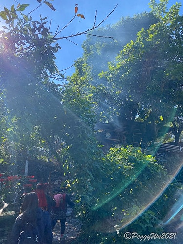 【屏東|春日】20210103暗黑部落▸▸▸"東方足跡"-老 IMG_2481