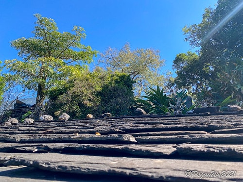 【屏東|春日】20210103暗黑部落▸▸▸"東方足跡"-老 IMG_2459