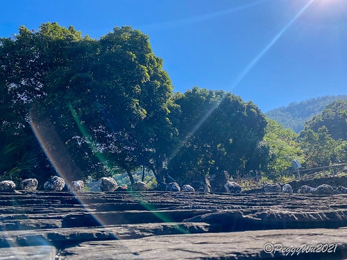 【屏東|春日】20210103暗黑部落▸▸▸"東方足跡"-老 IMG_2456