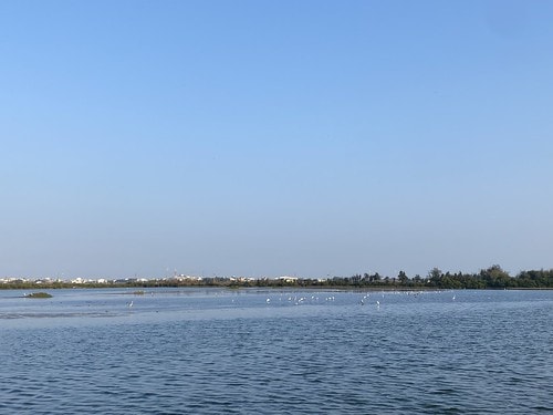 20221029_070712+0800-1441986