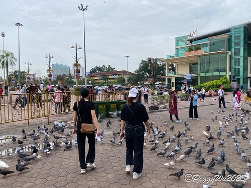 20230403_103123+0800-4123336