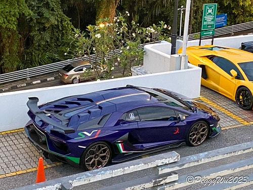 20230403_193056+0800-1948780