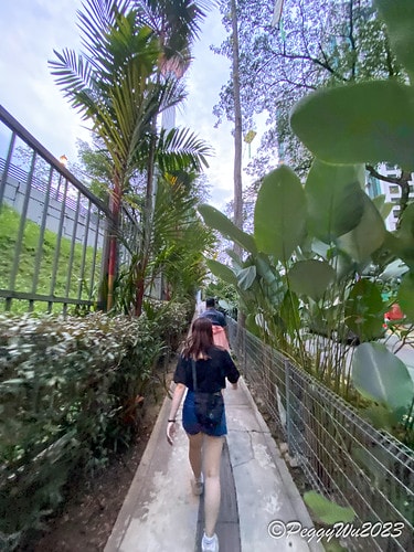 20230403_191409+0800-2145280