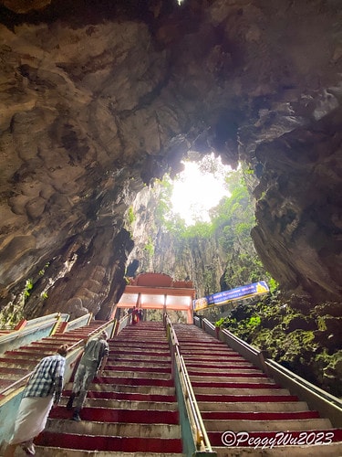 20230403_095522+0800-5218454