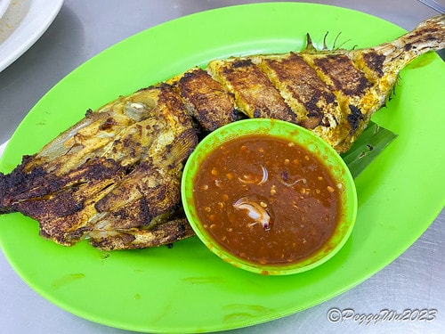 20230403_203431+0800-3465666