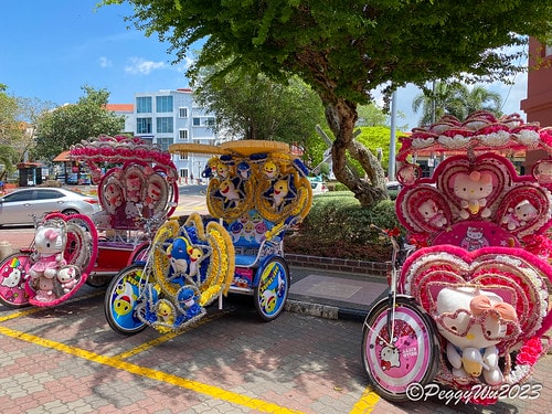 20230404_115556+0800-5481406