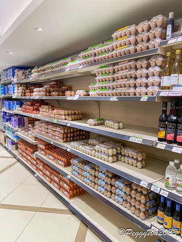 20230404_181141+0800-3850308