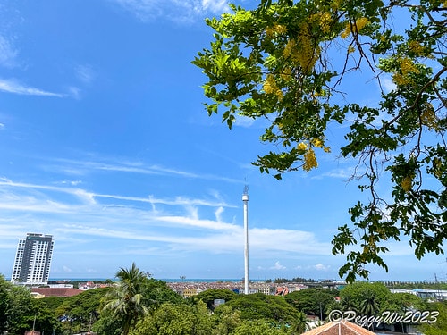 20230404_120642+0800-3943744