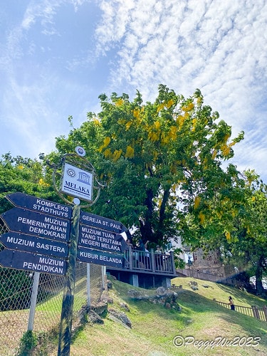 20230404_120531+0800-5080524