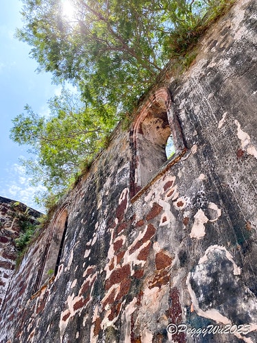 20230404_122043+0800-6968942