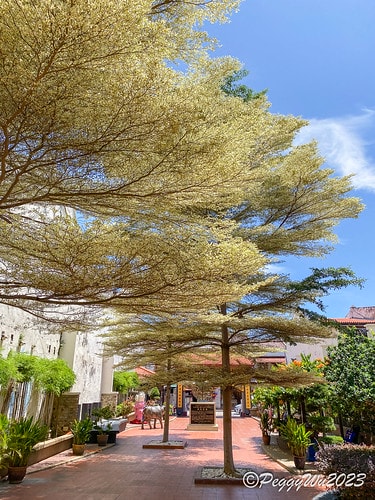 20230404_140835+0800-7333296