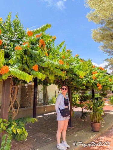 20230404_140425+0800-4779174