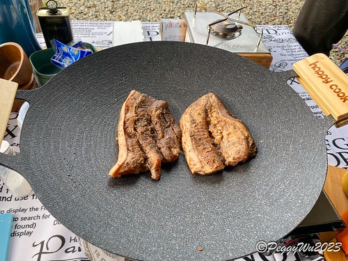 20230520_172919+0800-5005682