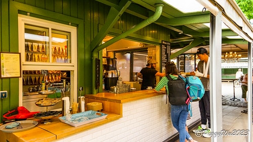 【歐洲|德國】20230704 德奧捷自駕之旅:Viktua DSC06869