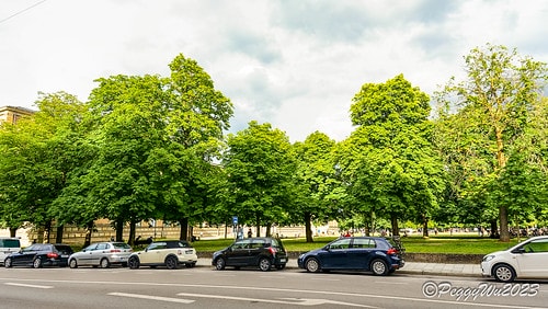 【歐洲|德國】20230704 德奧捷自駕之旅:散步到慕尼黑 DSC06949
