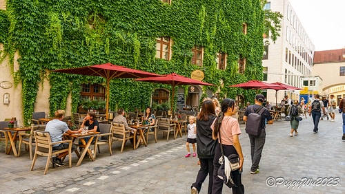 【歐洲|德國】20230704 德奧捷自駕之旅:散步到慕尼黑 DSC06929