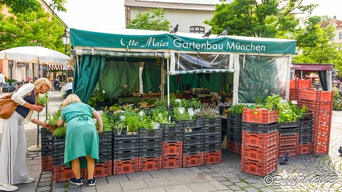 【歐洲|德國】20230704 德奧捷自駕之旅:Viktua DSC06866