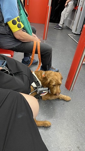 【歐洲|德奧捷自駕之旅】20230705:紐倫堡城堡+佩格尼 IMG_2324