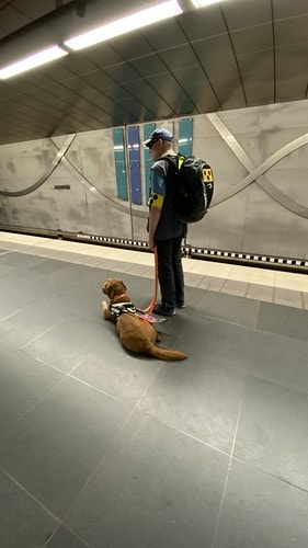 【歐洲|德奧捷自駕之旅】20230705:紐倫堡城堡+佩格尼 IMG_2322