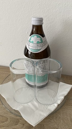 【歐洲|德奧捷自駕之旅】20230705:紐倫堡城堡+佩格尼 IMG_2319