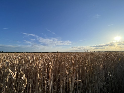 【歐洲|德國】20230705 德奧捷自駕之旅:慕尼黑機場S IMG_1803