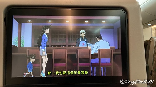 【歐洲|德奧捷】20230703 德奧捷自駕之旅:準備出發慕 IMG_1886