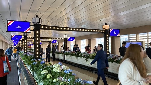 【澳門|快閃小旅行】20231118:澳門攝點踩點-澳門巴黎 IMG_8982