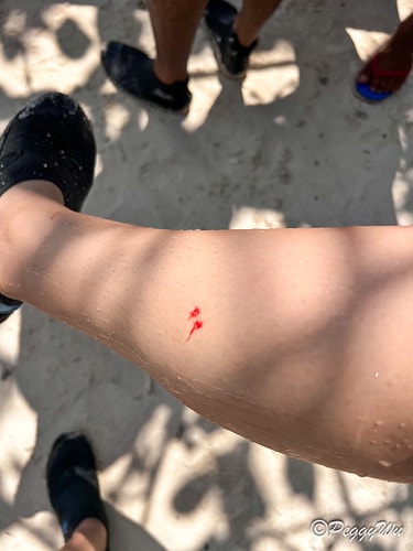 【菲律賓|巴拉望】20240209:遇見絕美海景-愛妮島跳島 IMG_7089