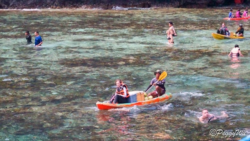 【菲律賓|巴拉望】20240210:遇見絕美海景-愛妮島跳島 DSC02555