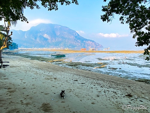 【菲律賓|巴拉望】20240209:鎮上早餐-網美餐廳:Ca IMG_2472