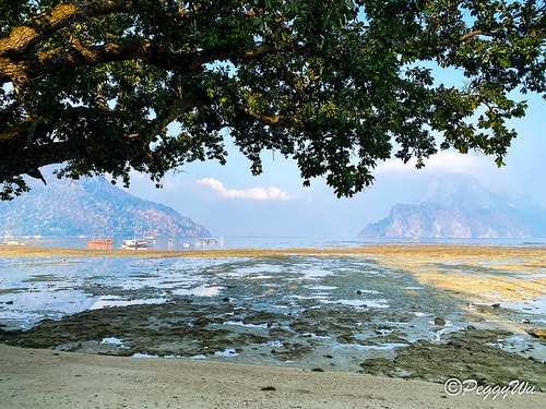 【菲律賓|巴拉望】20240209:鎮上早餐-網美餐廳:Ca IMG_2468