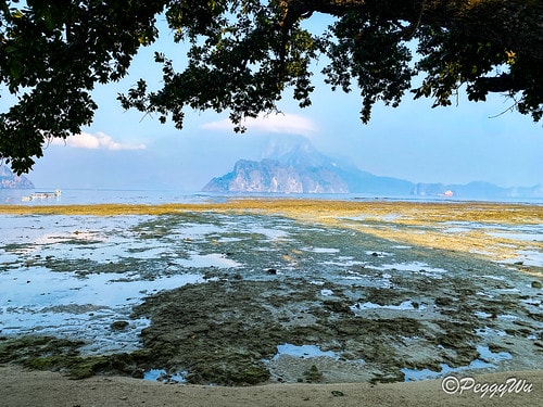 【菲律賓|巴拉望】20240209:鎮上早餐-網美餐廳:Ca IMG_2470