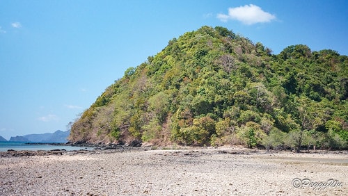 【菲律賓|巴拉望】20240211:愛妮島溜索-Palawa DSC02594