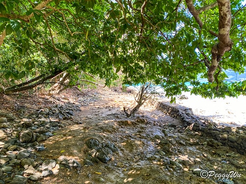 【菲律賓|巴拉望】20240211:愛妮島溜索-Palawa IMG_2676