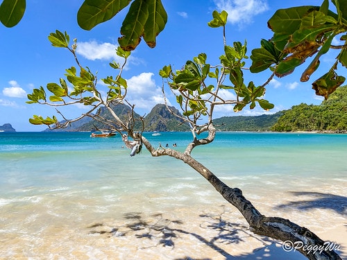 【菲律賓|巴拉望】20240211:愛妮島溜索-Palawa IMG_2699