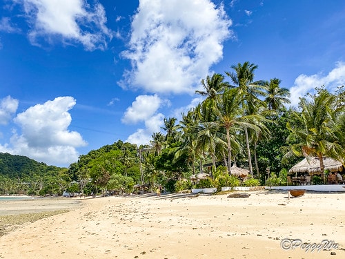 【菲律賓|巴拉望】20240211:愛妮島溜索-Palawa IMG_2690