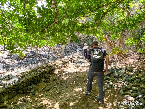 【菲律賓|巴拉望】20240211:愛妮島溜索-Palawa IMG_2677