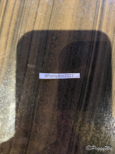 【菲律賓|巴拉望】20240212:市區散步-公主港大教堂/ IMG_3071