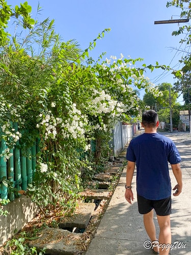 【菲律賓|巴拉望】20240212:又是舟車勞頓的一天,移動 IMG_2988